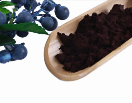 Bilberry Extract